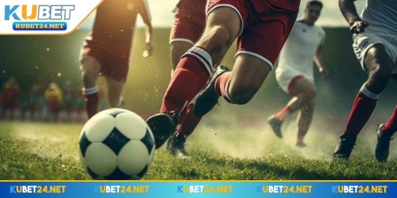 Kinh nghiệm hiệu quả dành cho thành viên khi tham gia